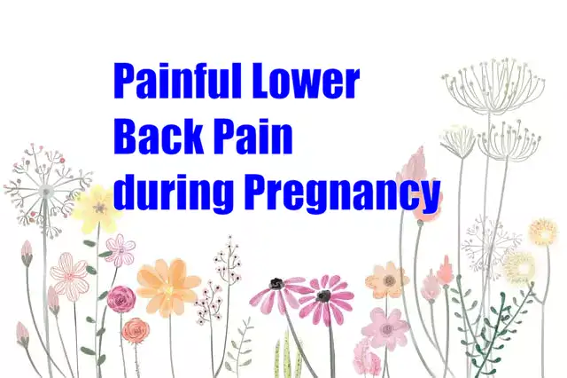 Painful Lower Back Pain during Pregnancy